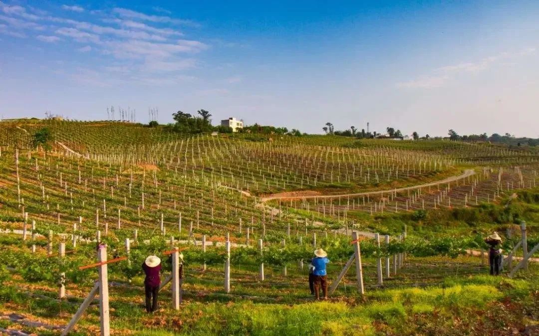 1583983745170147.jpg 1583983745170147.jpg