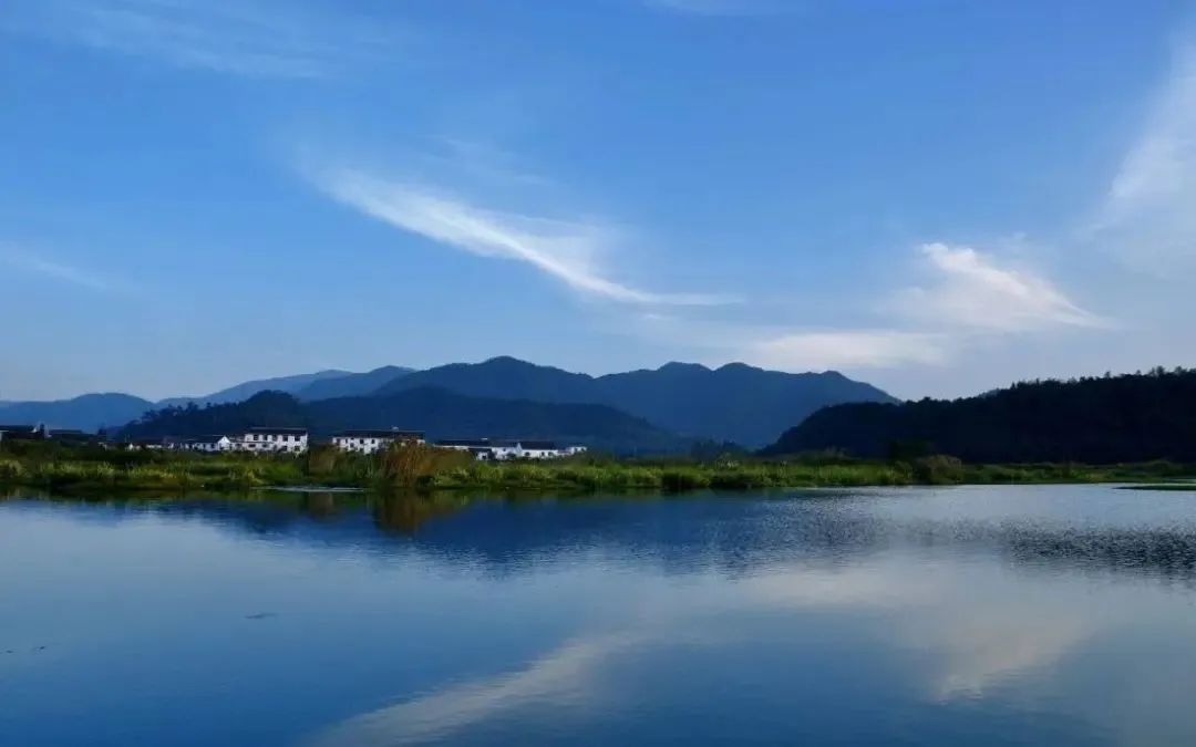 1583983779889036.jpg 1583983779889036.jpg