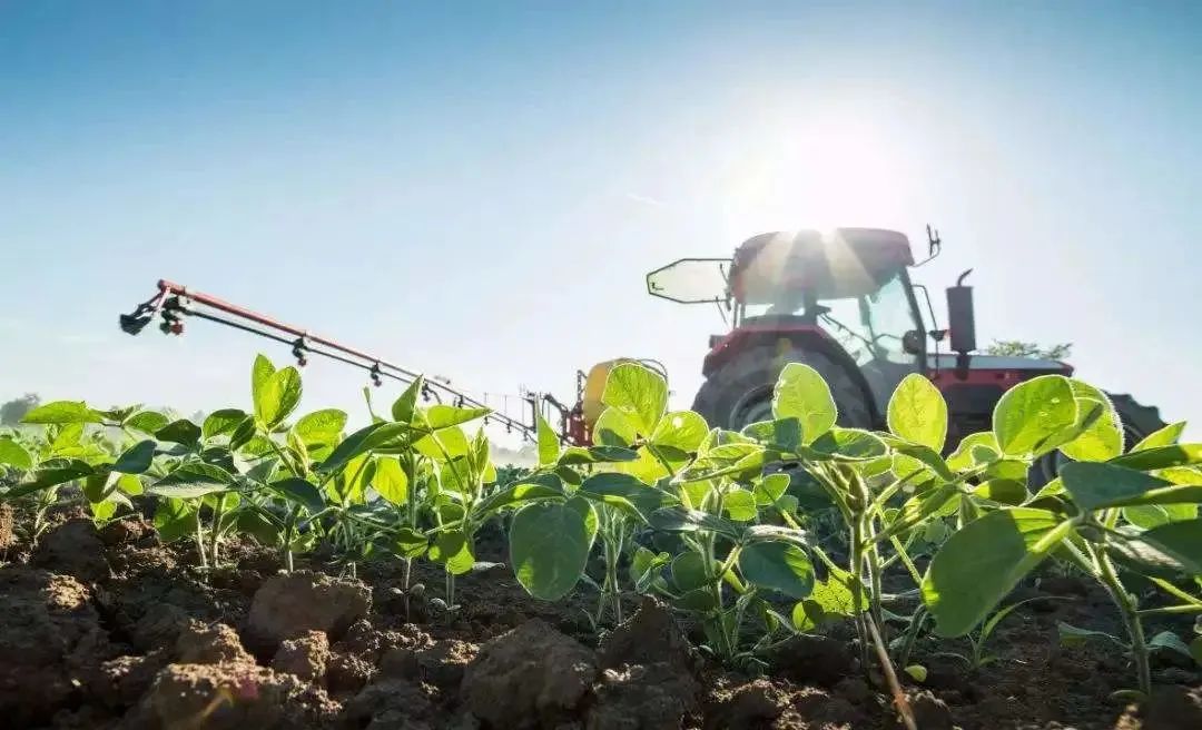 1583983854451317.jpg 1583983854451317.jpg