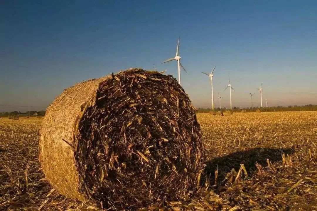 1583984293370073.jpg 1583984293370073.jpg