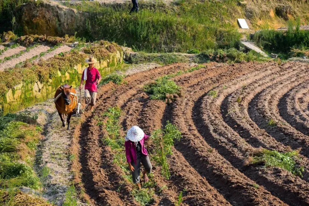 1583984409749226.jpg 1583984409749226.jpg