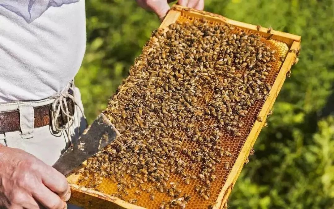 1583984567925398.jpg 1583984567925398.jpg