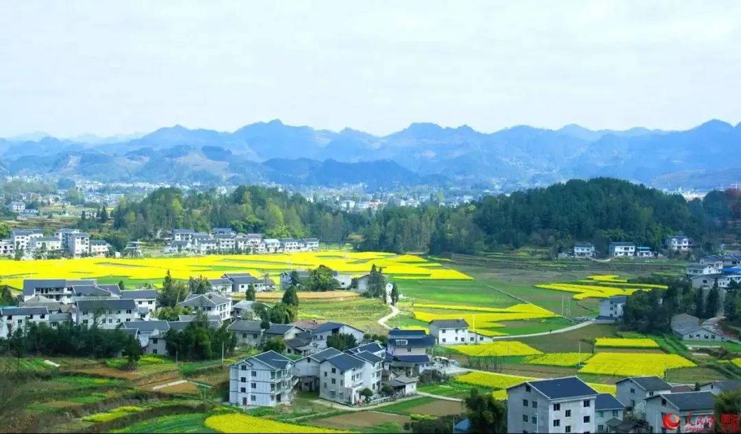 1583984620660365.jpg 1583984620660365.jpg