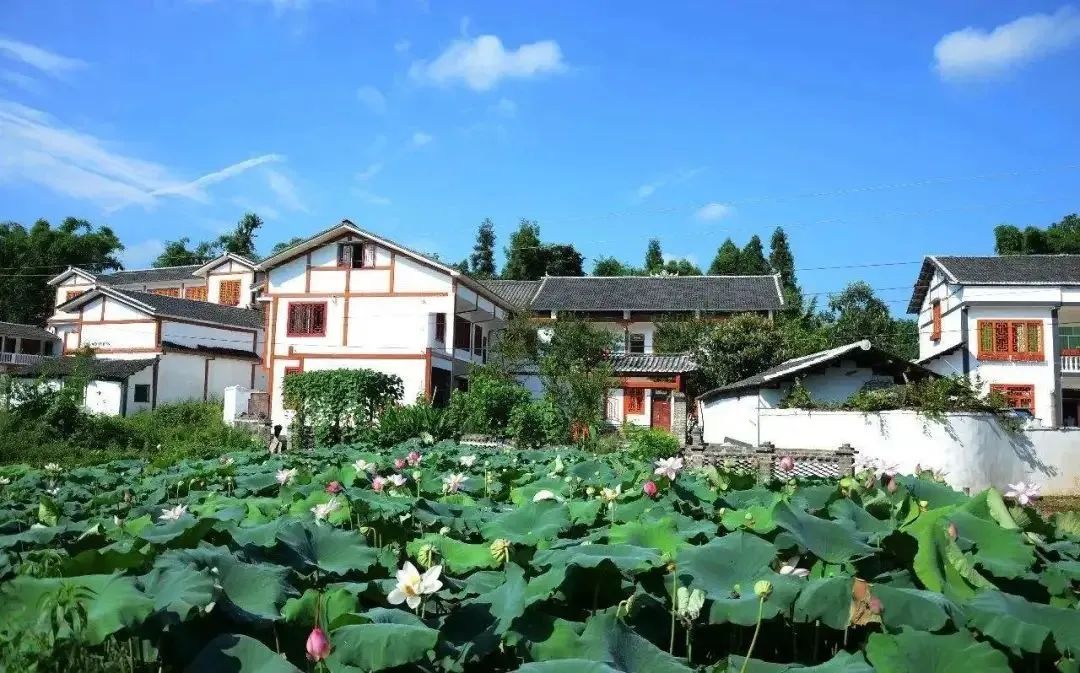 1583984655540091.jpg 1583984655540091.jpg