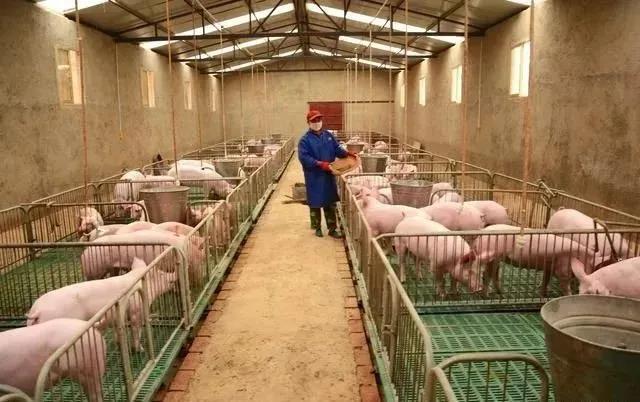 1589341569947516.jpg 1589341569947516.jpg