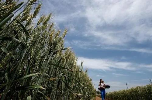 1589341592309097.jpg 1589341592309097.jpg