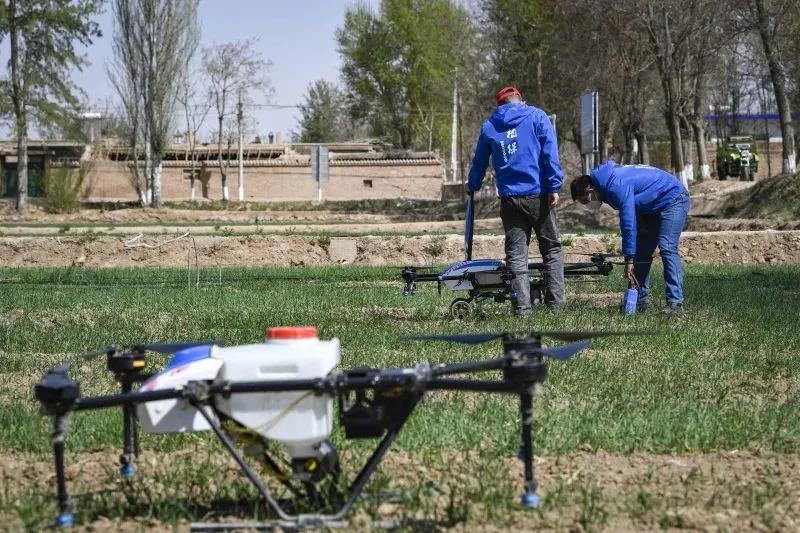 1589341729113113.jpg 1589341729113113.jpg