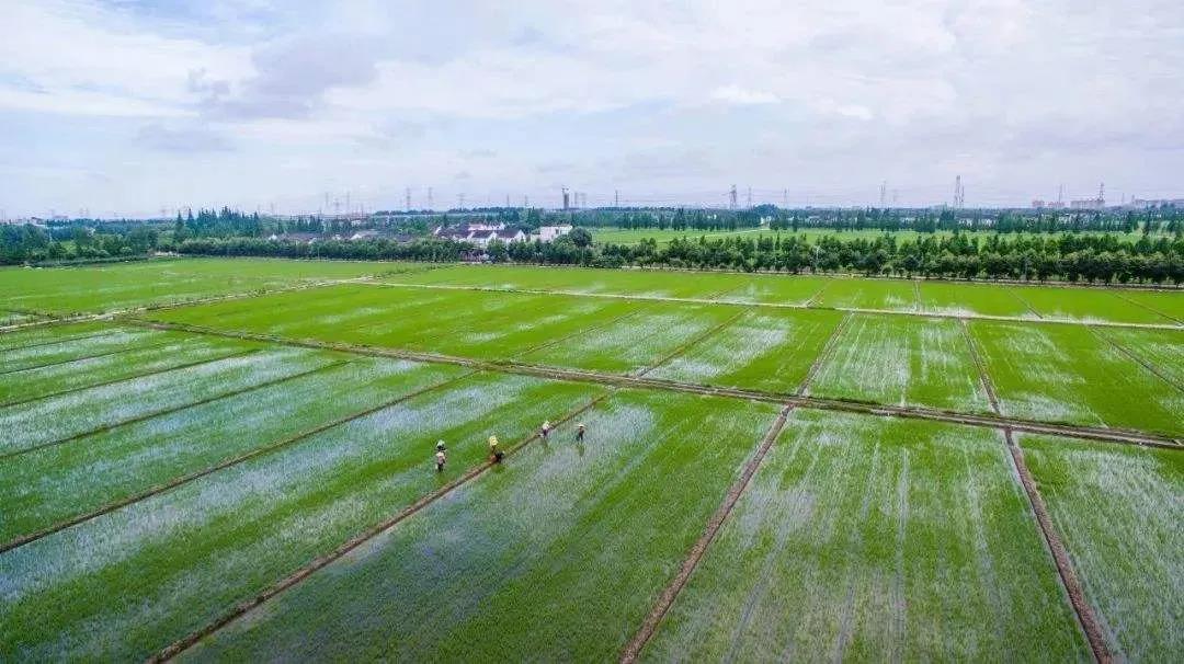 1589341751126857.jpg 1589341751126857.jpg