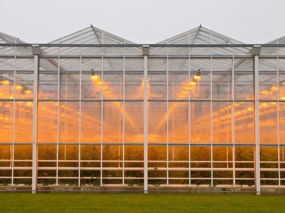 1598251287114546.jpg 1598251287114546.jpg