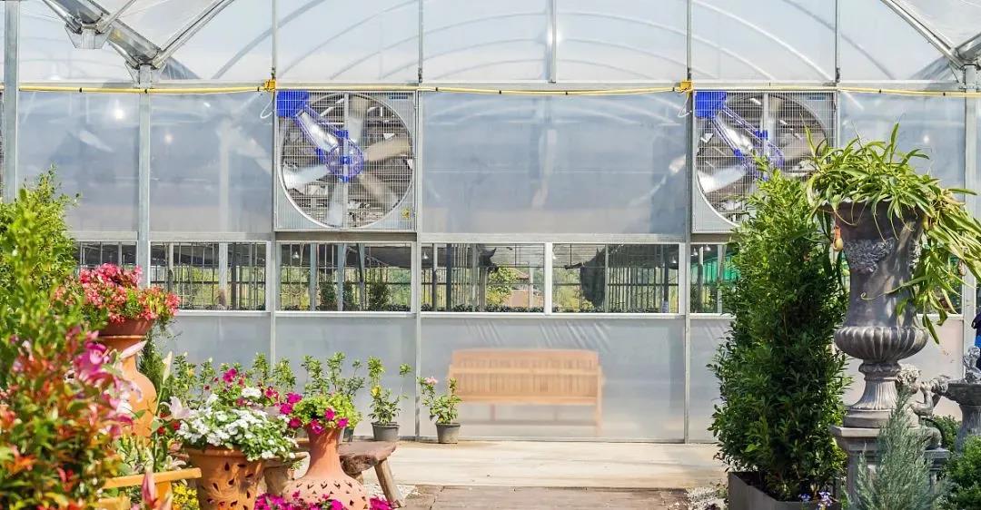 1598251425282288.jpg 1598251425282288.jpg