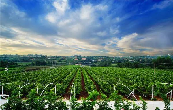 1614152075156721.jpg 1614152075156721.jpg