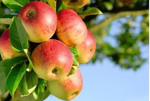 1615534746775432.jpg 1615534746775432.jpg