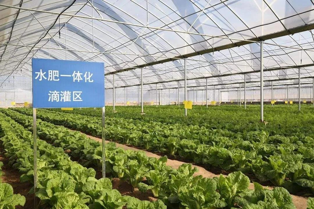 1618477921110040.jpg 1618477921110040.jpg