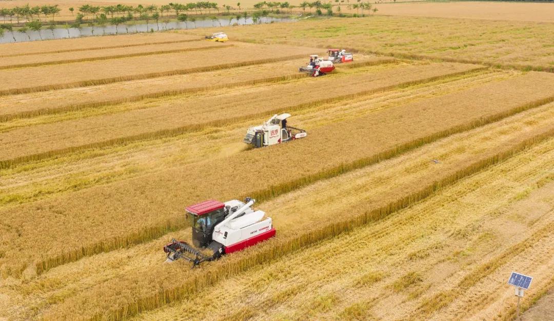 1622019931102686.jpg 1622019931102686.jpg