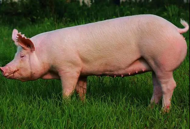 1632816457545513.jpg 1632816457545513.jpg