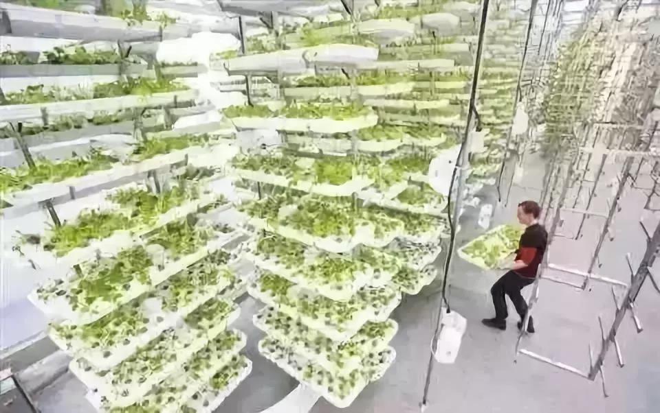 1635239530127649.jpg 1635239530127649.jpg