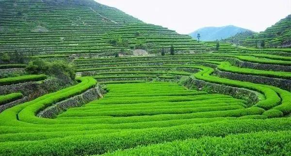 1637572347128936.jpg 1637572347128936.jpg