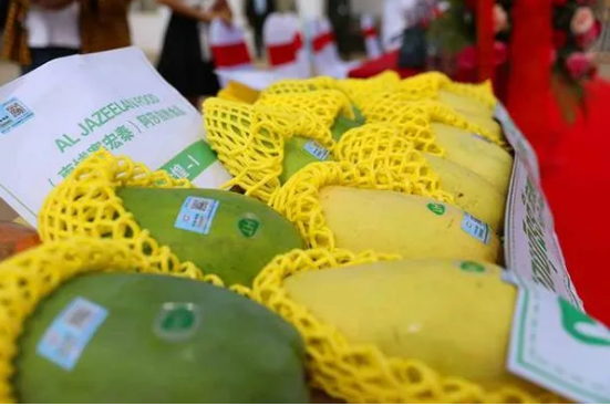 1670552988124947.png 1670552988124947.png