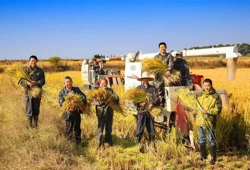 1685500917100853.jpg 1685500917100853.jpg