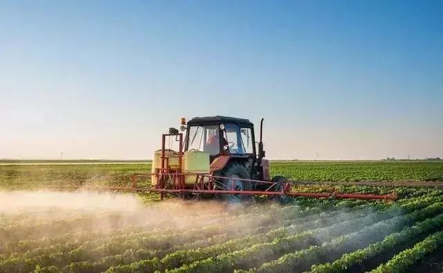 1685500943576970.jpg 1685500943576970.jpg