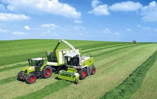 1685515983677535.jpg 1685515983677535.jpg