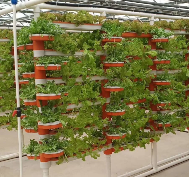 1685516012142736.png 1685516012142736.png