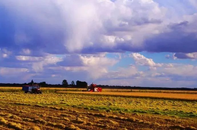 1685601419117648.jpg 1685601419117648.jpg