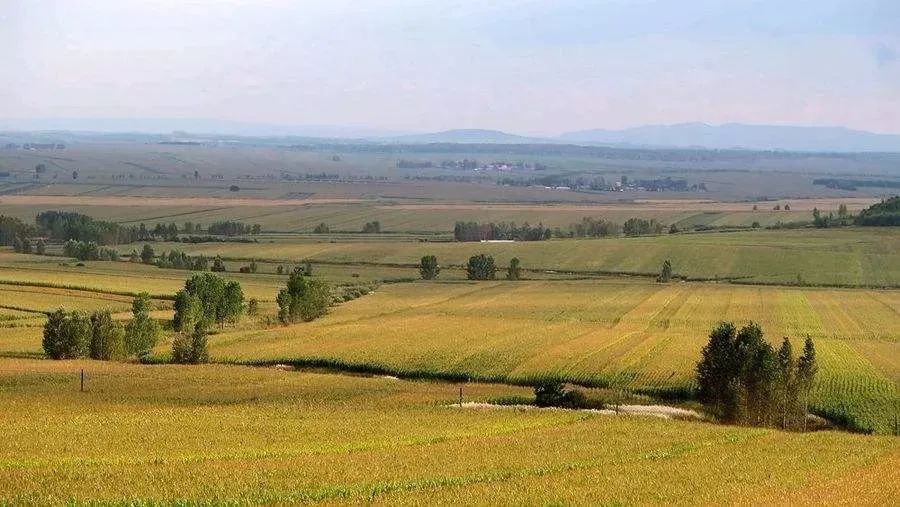 1685601458133566.jpg 1685601458133566.jpg