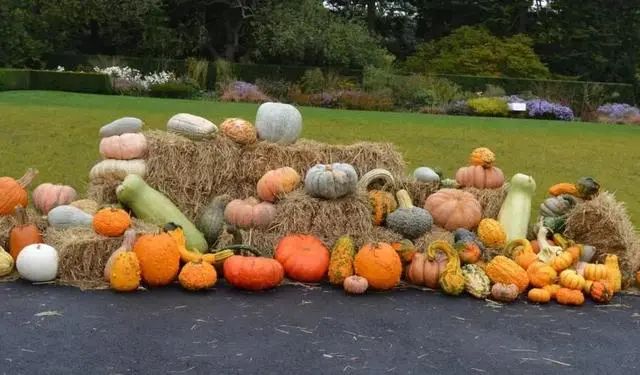 1685676958437590.jpg 1685676958437590.jpg