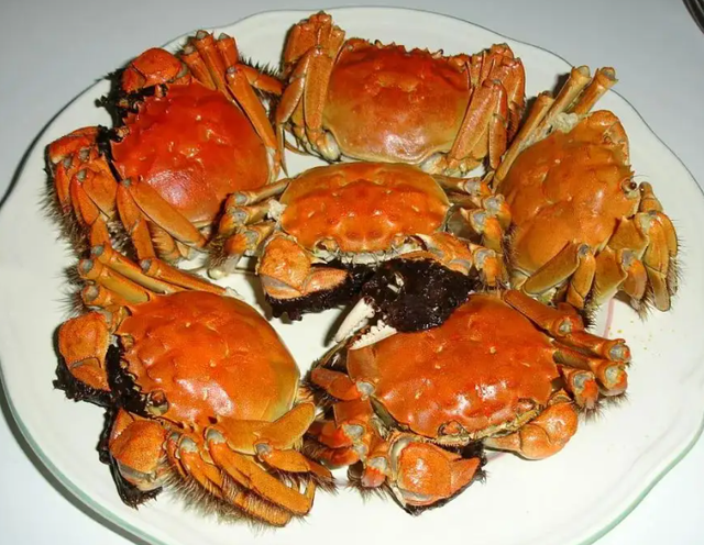 1685677204819755.png 1685677204819755.png