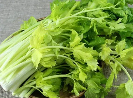 1685677337197214.png 1685677337197214.png