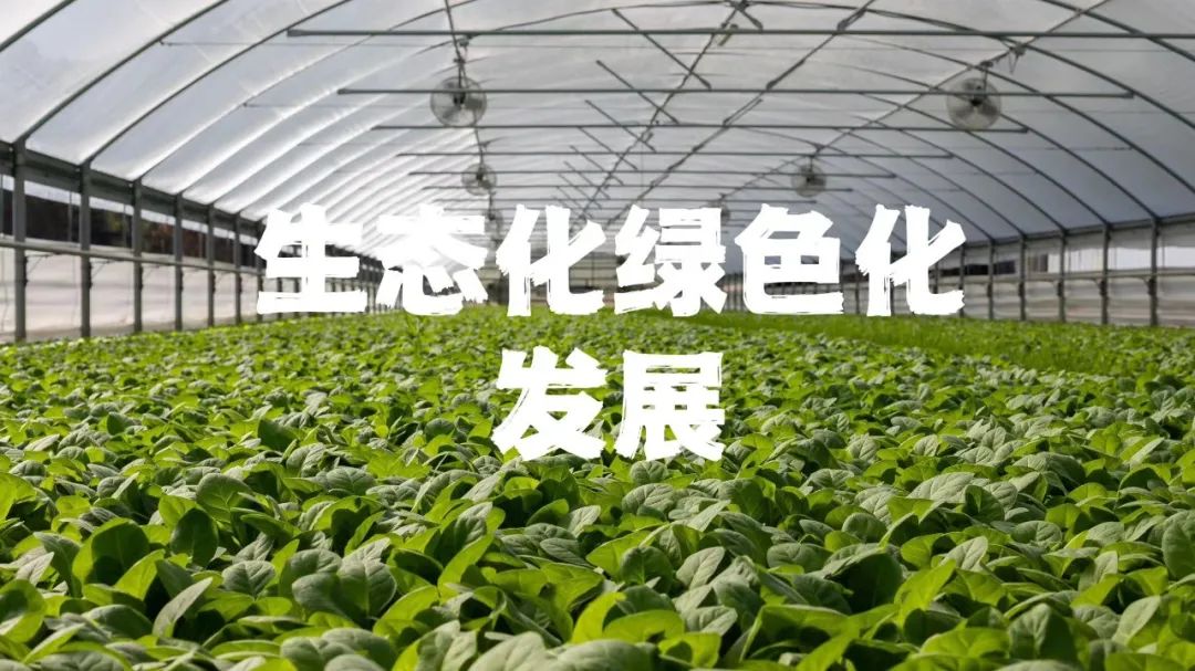 1687747170486689.jpg 1687747170486689.jpg