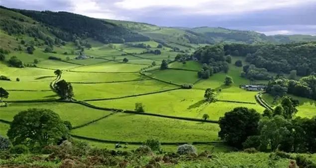 1690352715927593.jpg 1690352715927593.jpg