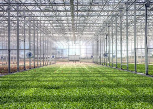 1715411494367878.png 1715411494367878.png