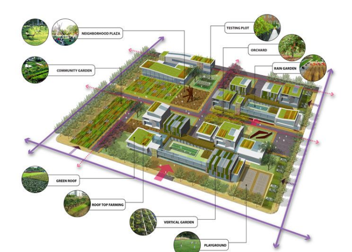 1715411804119365.png 1715411804119365.png