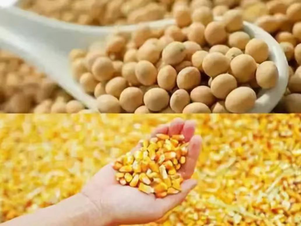 1753080514235814.jpg 1753080514235814.jpg